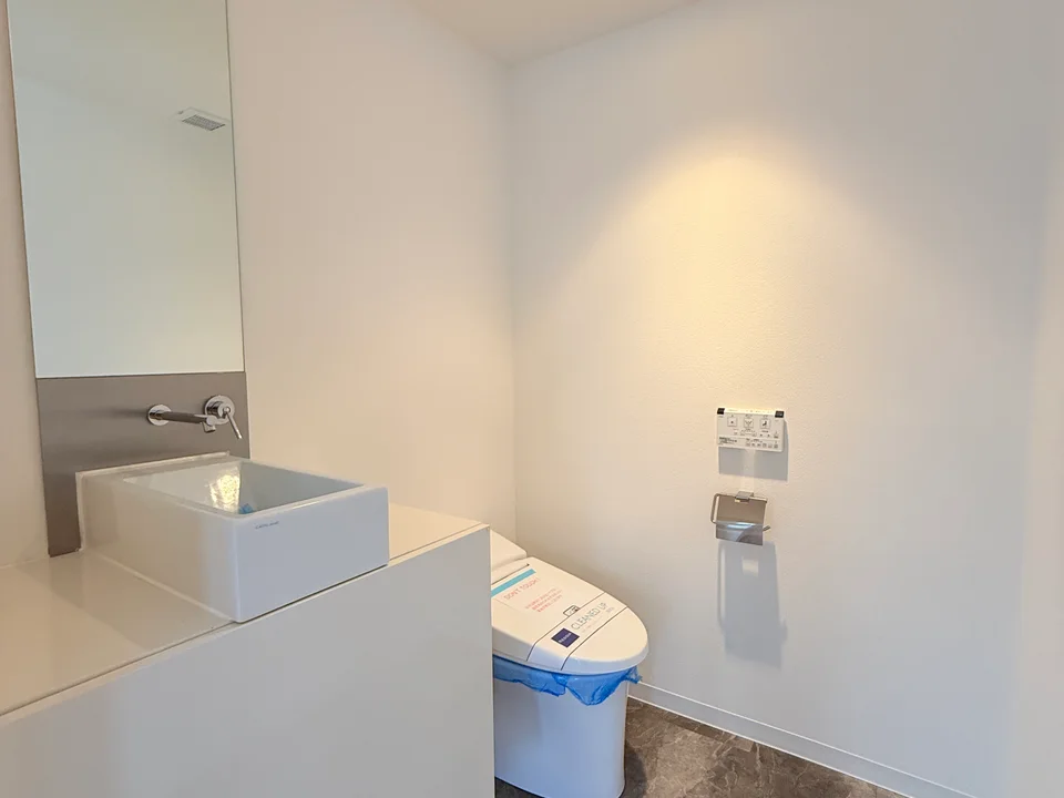 Toilet1