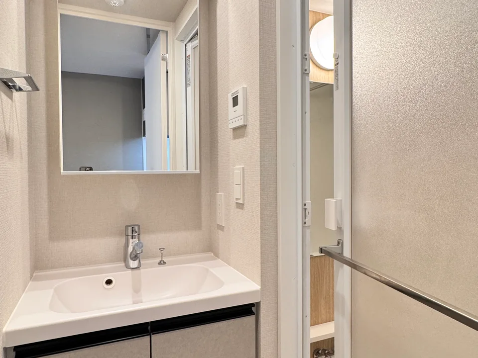 Vanity Area