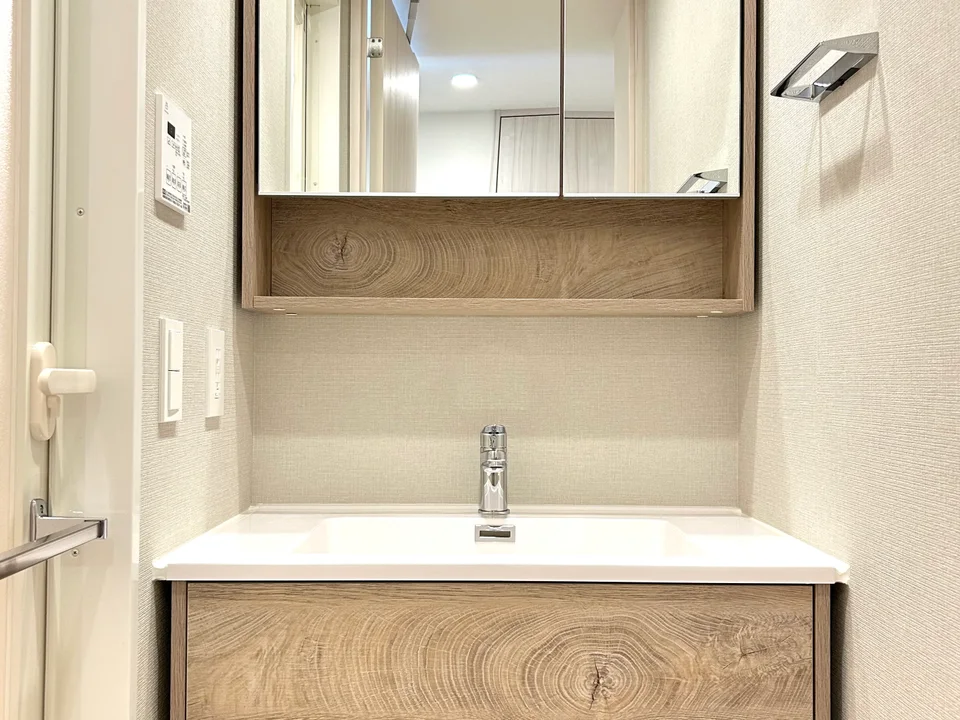 Vanity Area