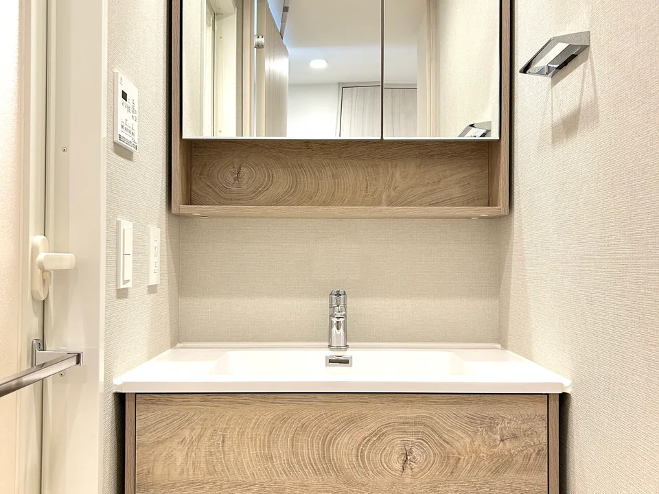 Vanity Area