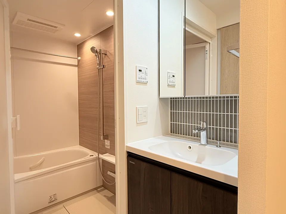 Vanity Area