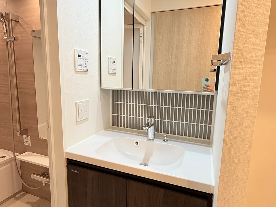 Vanity Area