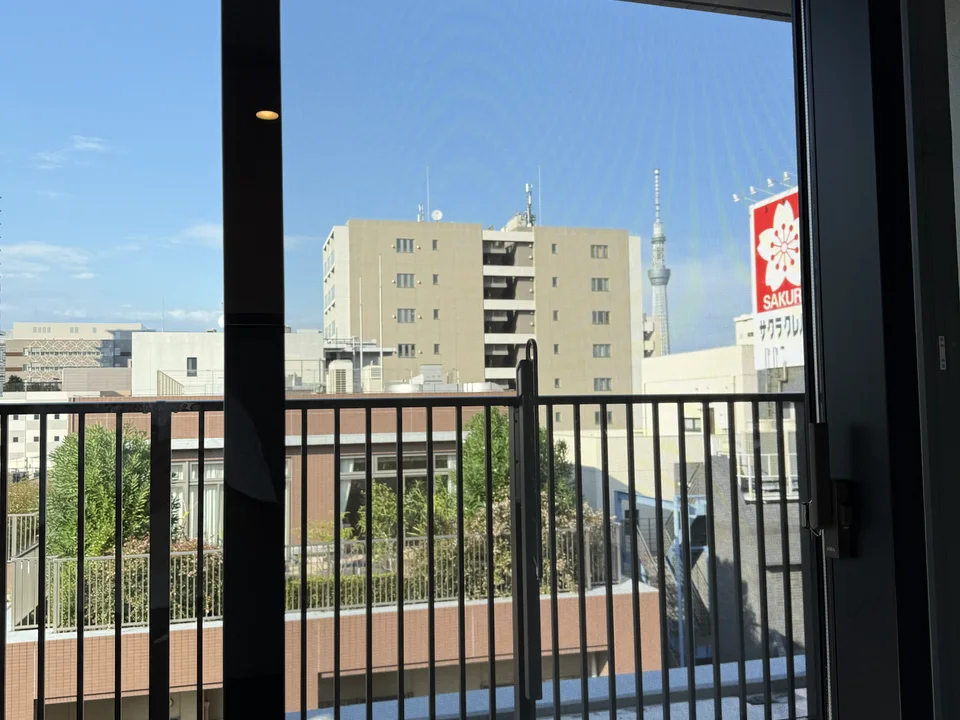 View