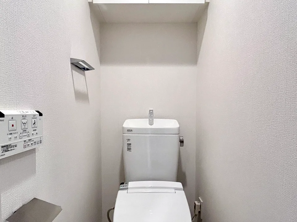 Toilet1