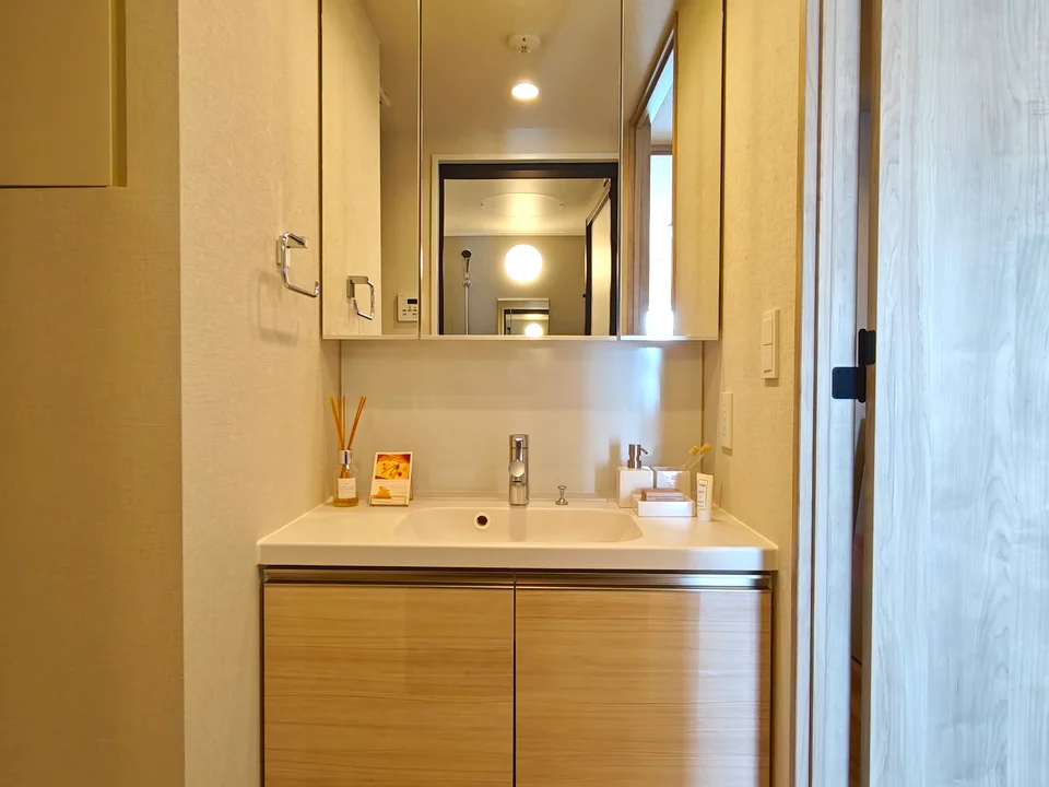 Vanity Area1