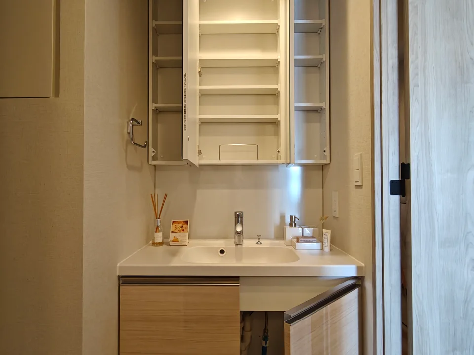 Vanity Area1