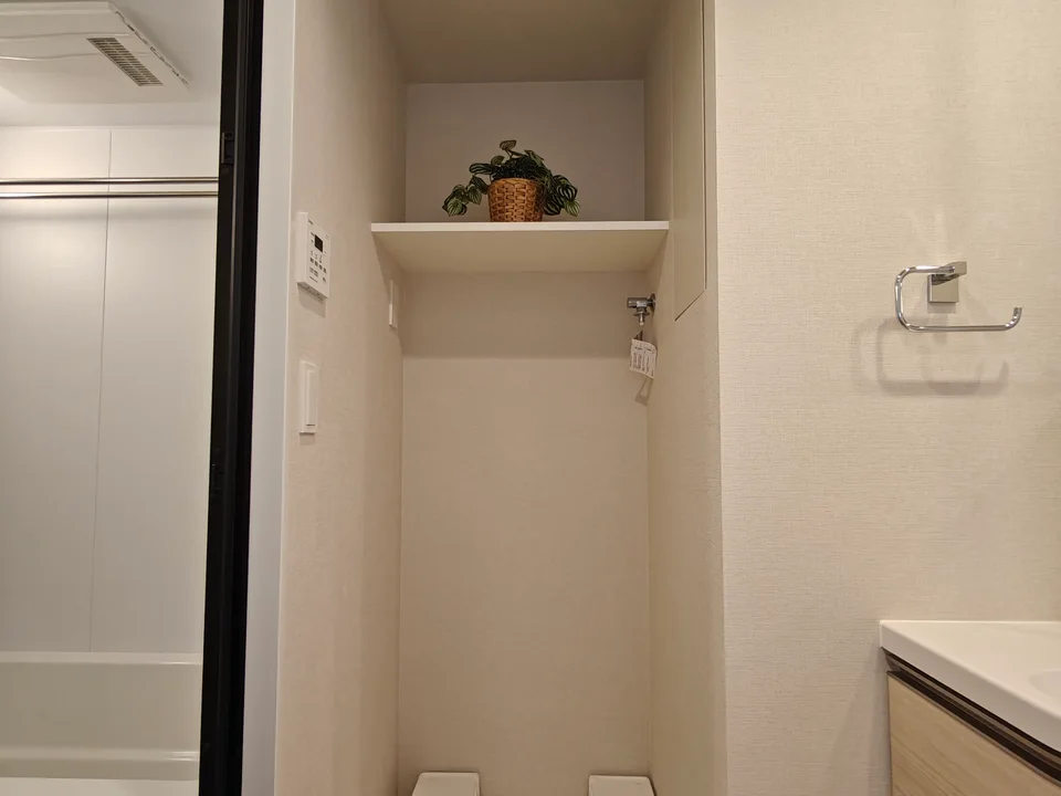 Laundry Space1