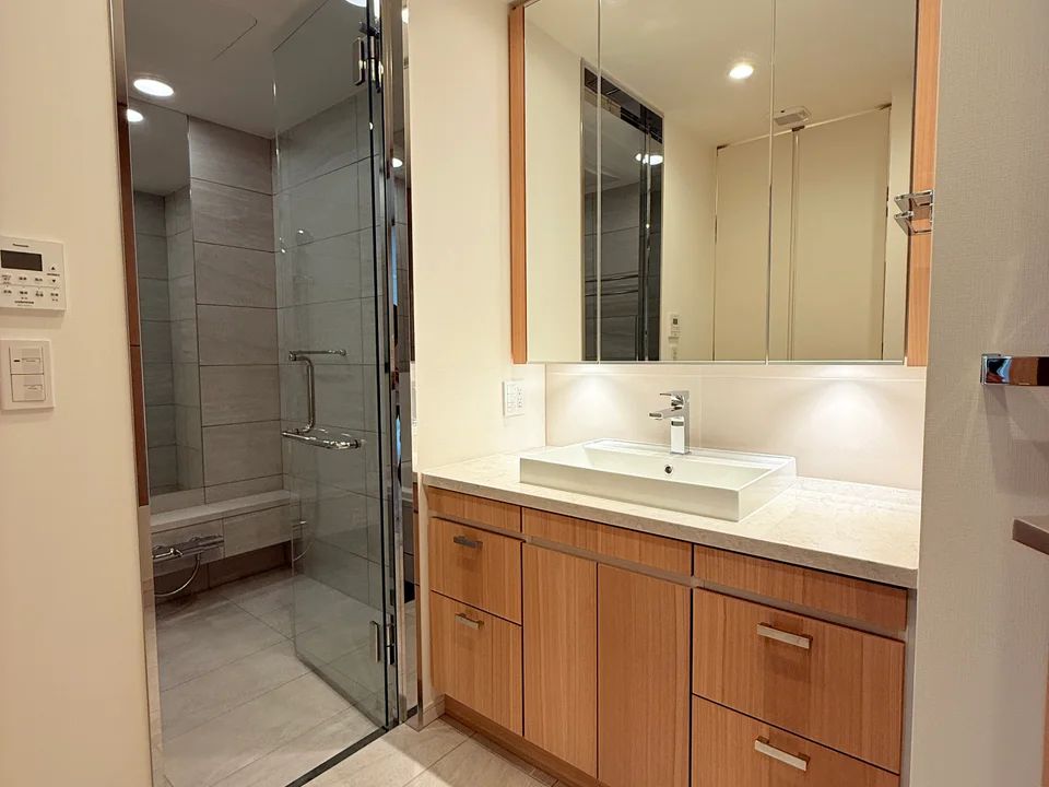 Vanity Area1