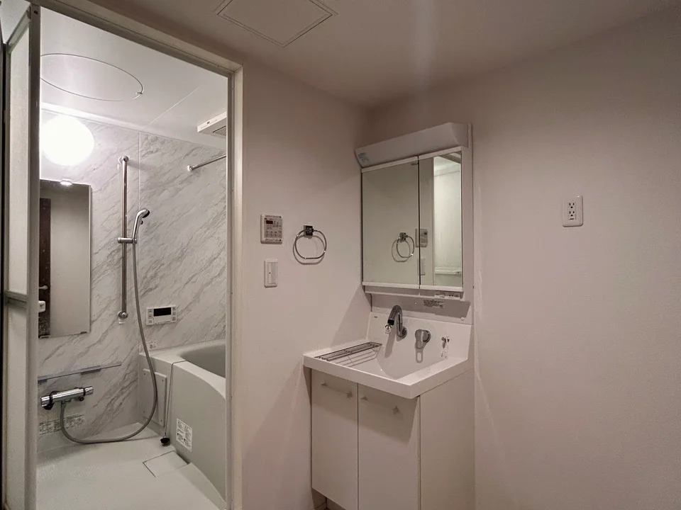 Vanity Area1