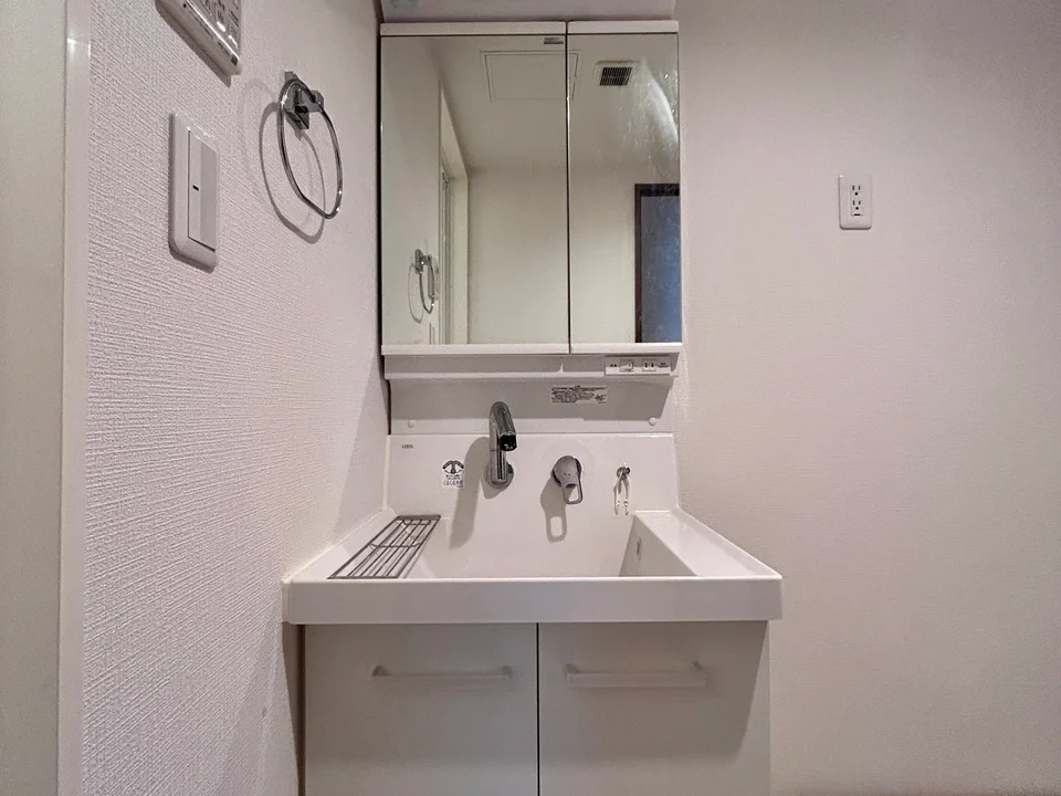 Vanity Area1