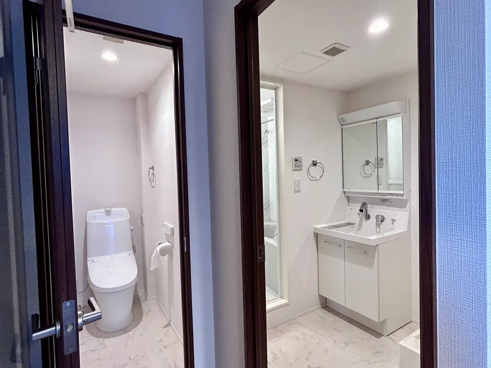 Vanity Area1