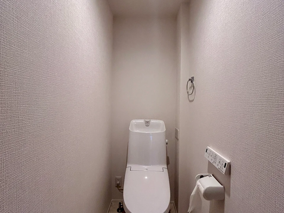 Toilet1