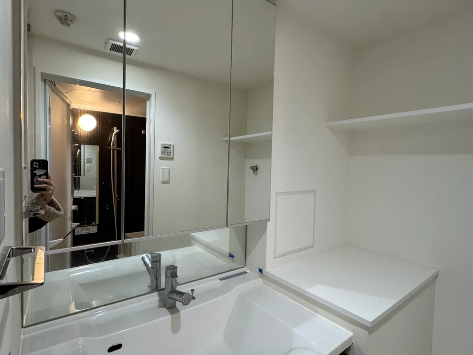 Vanity Area1