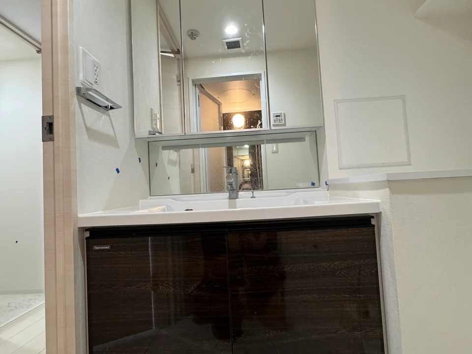 Vanity Area1