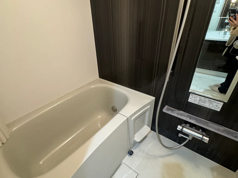 Bathroom1