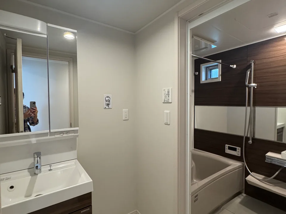 Vanity Area1