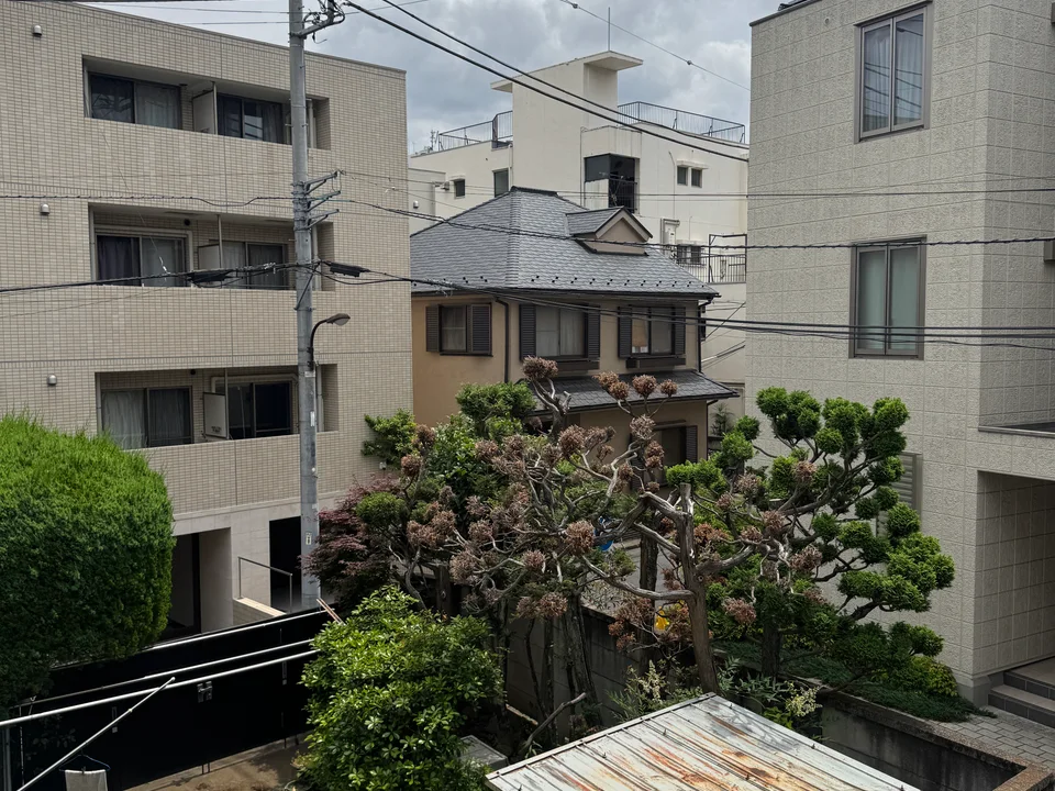 scenery1