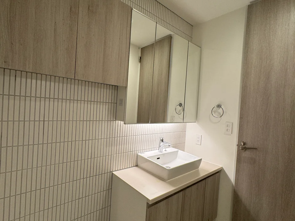 Vanity Area1