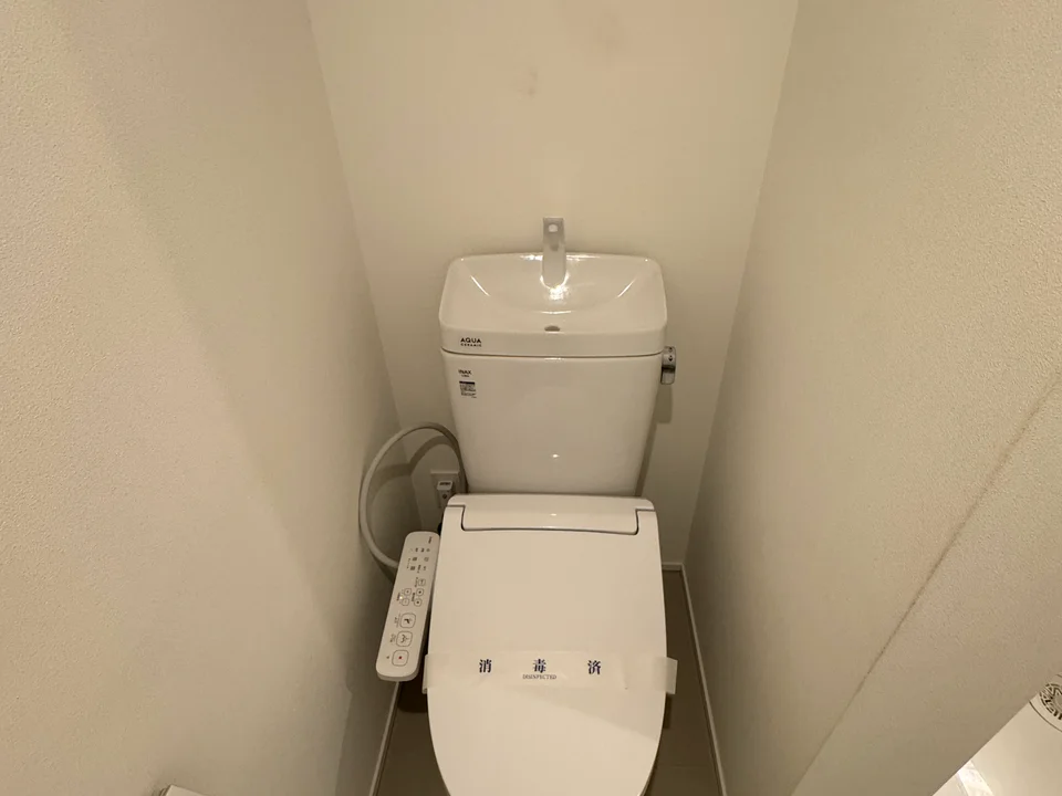 Toilet1