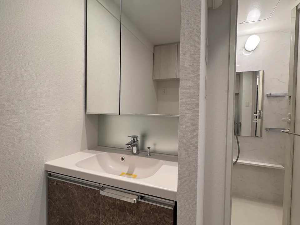 Vanity Area1