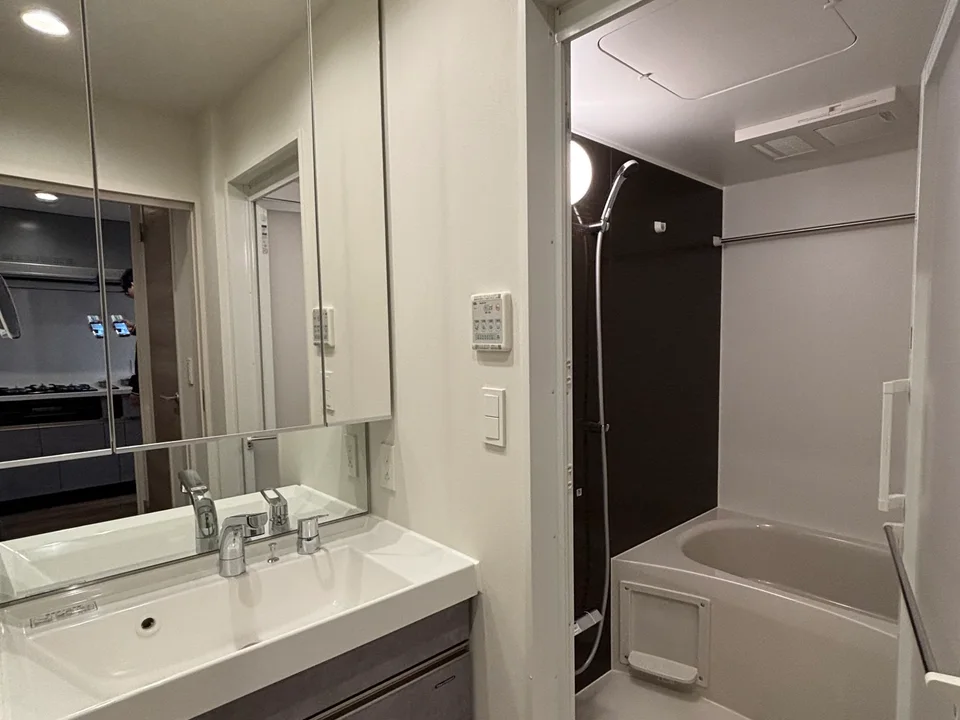 Vanity Area2