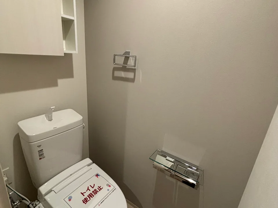 Toilet1