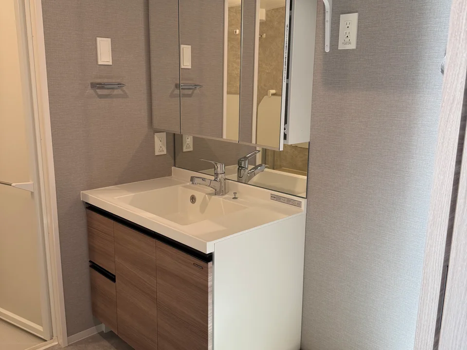 Vanity Area1