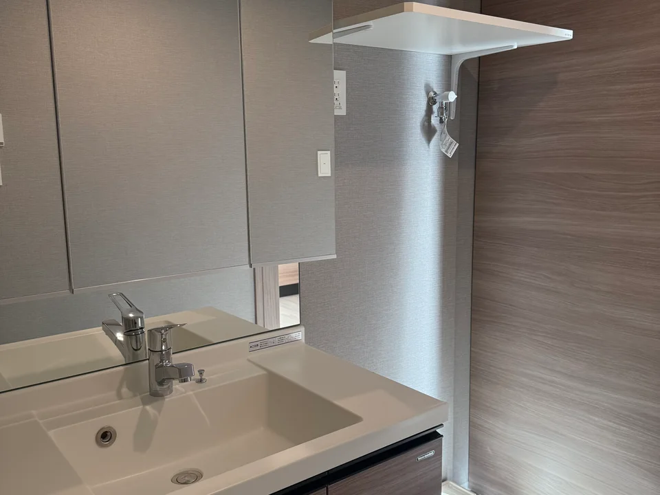 Vanity Area1