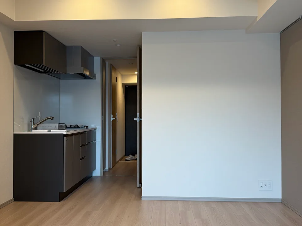 Living Room1