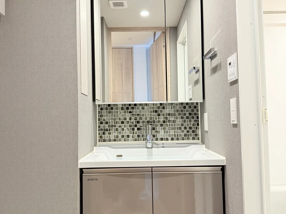 Vanity Area1