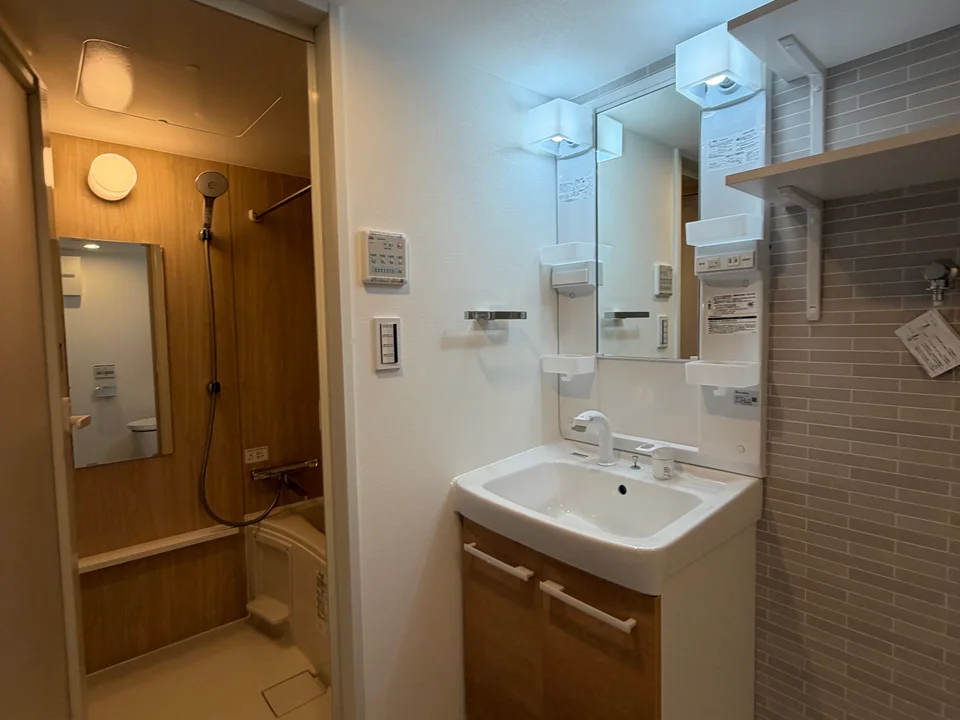 Vanity Area1