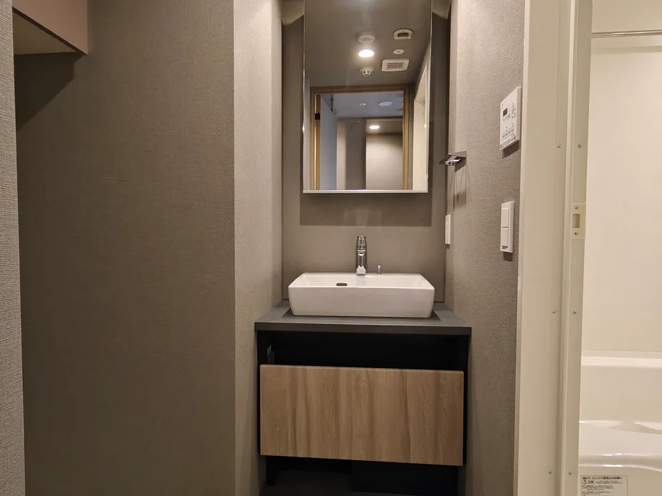 Vanity Area1