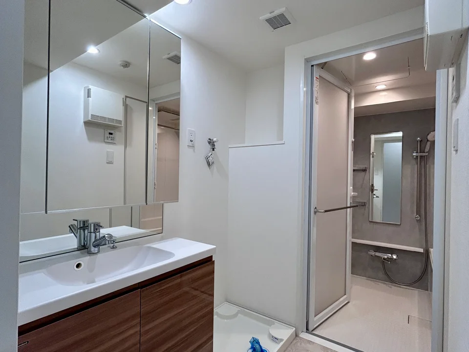 Vanity Area1