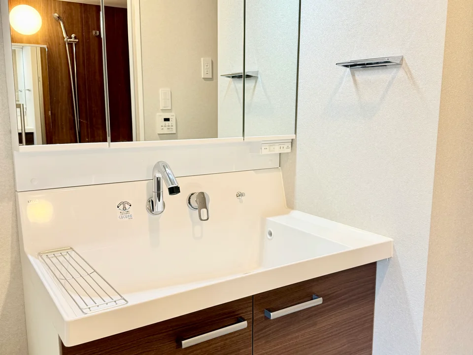 Vanity Area1