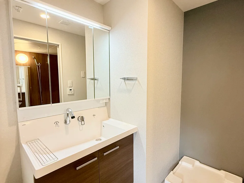 Vanity Area1