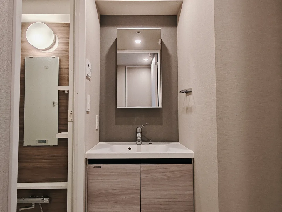 Vanity Area1
