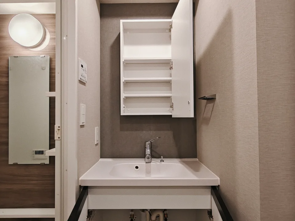 Vanity Area1
