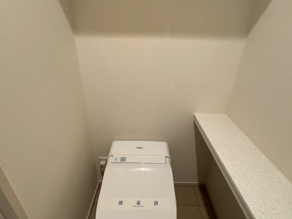 Toilet1