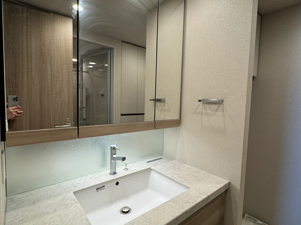 Vanity Area1