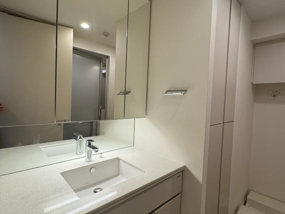 Vanity Area1