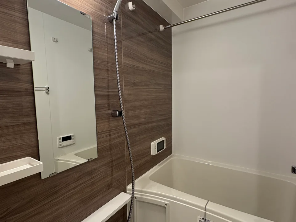 Bathroom1