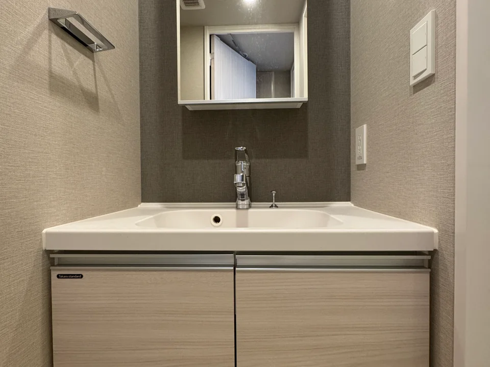 Vanity Area1