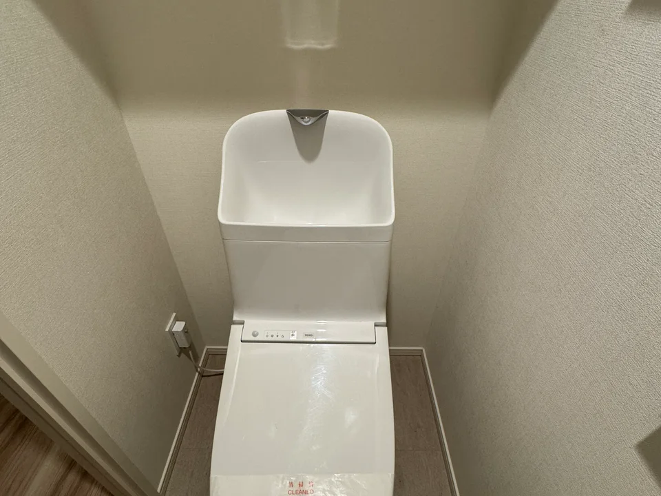 Toilet1