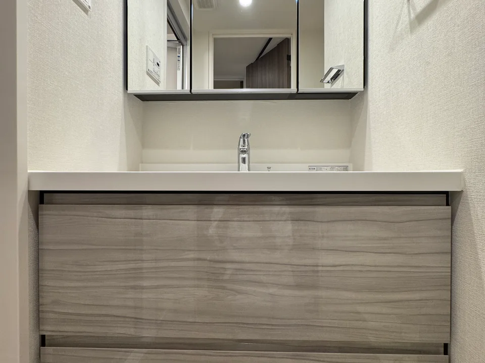 Vanity Area1
