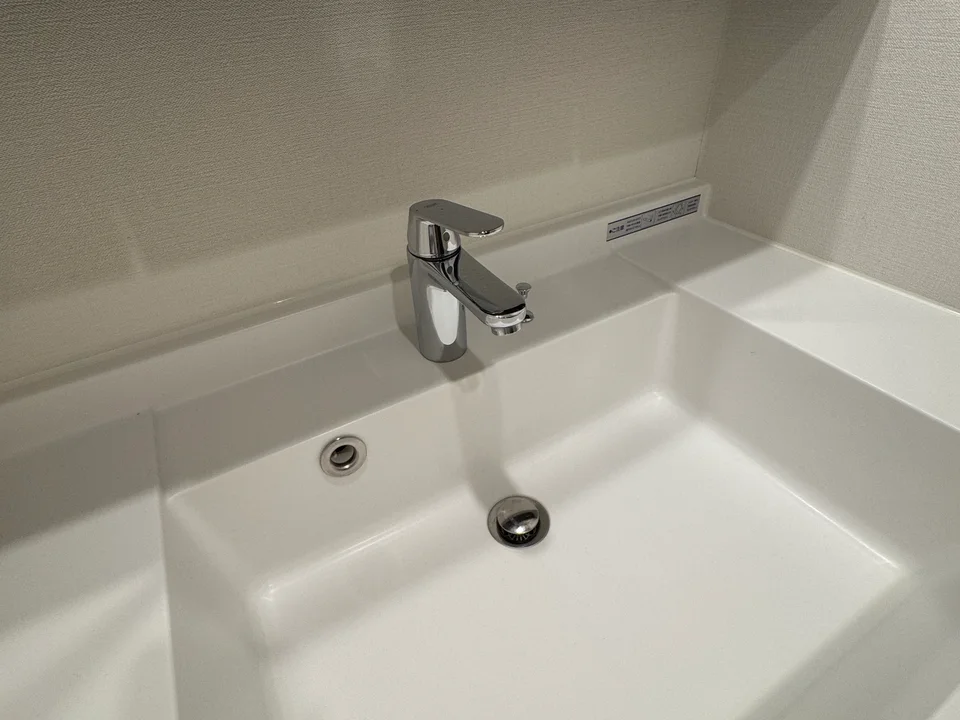 Vanity Area1
