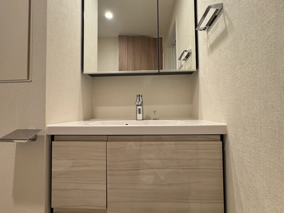 Vanity Area1