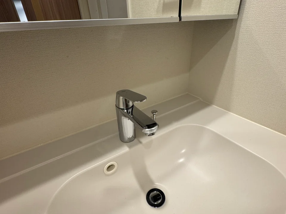 Vanity Area1