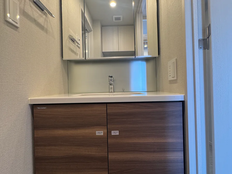 Vanity Area1