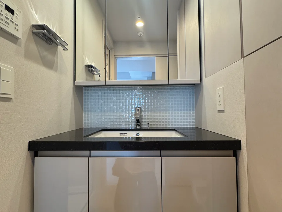 Vanity Area1