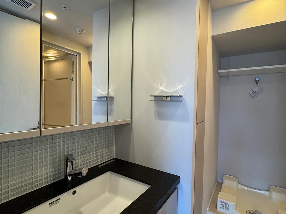 Vanity Area1